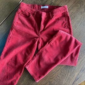 LOFT Velvet Jeans in Orange/red color
